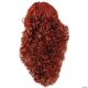 Morris ADULT CURLY FALL WIG