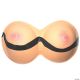 Morris ADULT FEMALE CHEST WITH BRA