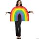 Morris ADULT RAINBOW COSTUME