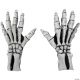 Morris ADULT SKELETON GLOVES