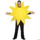 Morris ADULT SUNNY DAY COSTUME