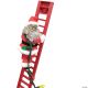 Morris AFRICAN AMERICAN CLIMBING SANTA