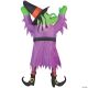 Morris AIRBLOWN WITCH HANGING F ROOF