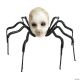 Morris BABY HEAD SPIDER 23.5IN