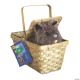 Morris TOTO W/BASKET DELUXE