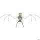 Morris BAT SKELETON