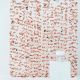 Ginger Ray Rose Gold Petal Flower Photo Booth Curtain 2M Pick & Mix