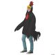 Morris BLACK ROOSTER