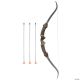 Morris BOW AND ARROW SET