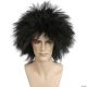 Morris BUCKWHEAT WIG