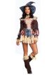 Charades Womens Scarecrow Costume Dress, As Shown, Small