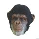 Morris CHIMP LATEX MASK