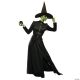 Morris CLASSIC WITCH ADULT LARGE