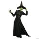 Morris CLASSIC WITCH ADULT MEDIUM