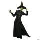 Morris CLASSIC WITCH ADULT SMALL