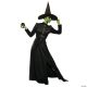 Morris CLASSIC WITCH ADULT X LARGE
