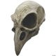 Morris CROW SKULL ADULT LATEX MASK