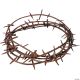 Morris CROWN OF THORNS