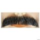 Morris DOWNTURN M2 MUSTACHE - BLEND
