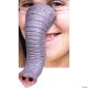 Morris ELEPHANT NOSE