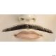 Morris ERROL FLYN MUSTACHE-BROWN