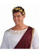 Forum Novelties Party Supplies 65228 Unisex-Adults Leaf Wreath, Gold, One Size, Multicolor