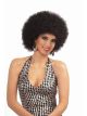 Forum Novelties Mens Deluxe Afro Wig, Black, One Size