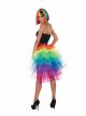 Rainbow Bustle Tutu-Std