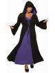 Plus Size Madame Miss-Sterious Costume