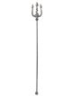 King Neptunes Trident