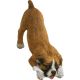 Sandicast Fawn Boxer with Uncropped Ears Sculpture, Sitting, Small