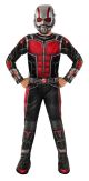 Boy's kids Ant-Man Costume, Small