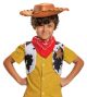 Disney Woody Accessory Kit,One Size Child