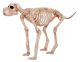 Skeleton Dog - Bruiser Bonez