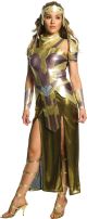 Costume Wonder Woman Movie Deluxe Hippolyta Costume,Large