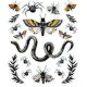 Darice Martha Stewart Crafts Halloween Embellishment Stickers Insects