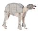 Pet AT-AT Imperial Walker Costume Meduim
