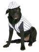 Pet Costume Baseball Player Lg