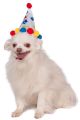 Pet Birthday Hat, Small to Medium, Boy Paw Print