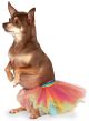Pet Rainbow Tutu Small-Medium