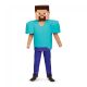 Steve Deluxe Minecraft Boys Costume Multicolor Small (4-6)
