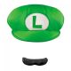 Men's Nintendo Super Mario Bros. Luigi Adult Hat and Mustache