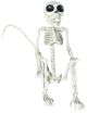 24 inches Skeleton Monkey Poseable