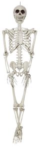 Reailstic Skeleton 35 inches