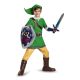 Link Deluxe Child Costume X-Large (14-16)