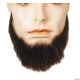 Morris FULL FACE BEARD LW570