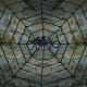 Morris GIANT SPIDER WEB W SPIDER