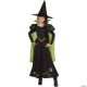 Morris GIRLS WIZARD OF OZ - WICKED WITCH  COST