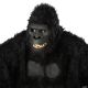Morris GOIN APE ANIMOTION MASK