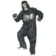 Morris GORILLA ECONOMY